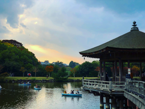 【浮見堂】（徒歩15分） 奈良公園の南側に位置する隠れたフォトスポット。都会の喧騒を忘れさせる美しさ
