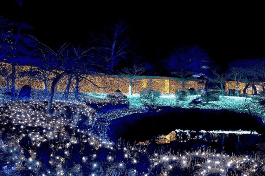 【なら瑠璃絵開催限定プラン・1泊朝食付】～瑠璃絵2026 光の夜・朝はゆっくりプラン～