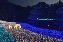 【なら瑠璃絵開催限定プラン・1泊朝食付】～瑠璃絵2026 光の夜・朝はゆっくりプラン～