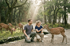 [Room only] A simple stay Package