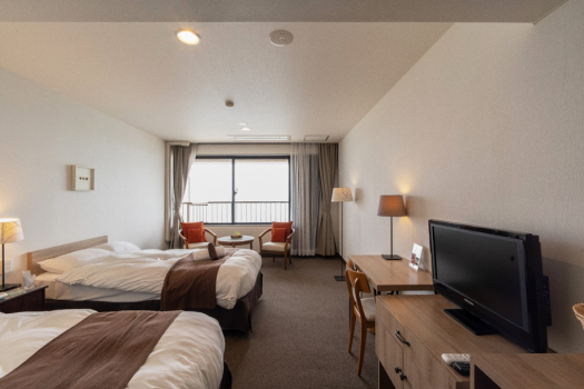Luxurious Twin Room