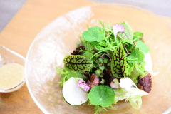 Luxurious gourmet  One night two meals plan