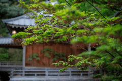 A Half-Board Stay with the Cultural Journey Performance