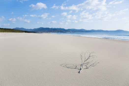 無添加な世界を歩く（海岸まで徒歩１分）