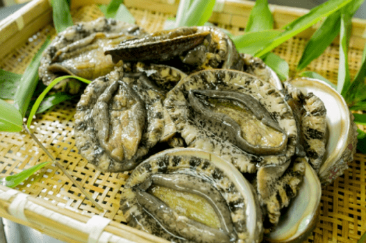 丹後産天然黒鮑