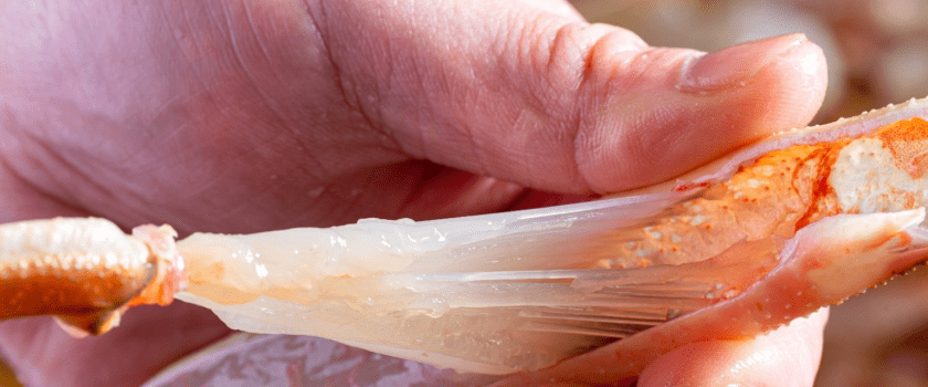 荒波～活け松葉蟹１杯＋茹で松葉蟹1/4杯～凝縮された茹で松葉ガニの旨味を食す～