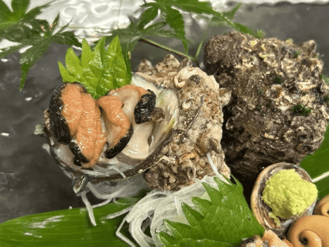 ２代目きまぐれ会席・黒鮑バター焼き＆海鮮釜飯付き・天然地魚を存分に味わう！