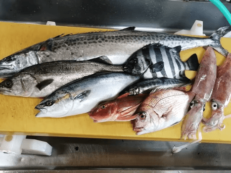 ２代目きまぐれ会席・黒鮑バター焼き＆海鮮釜飯付き・天然地魚を存分に味わう！