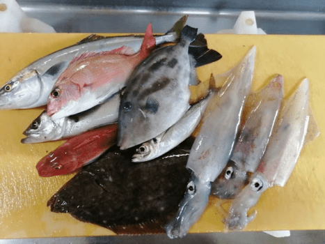 ２代目きまぐれ会席・黒鮑バター焼き＆海鮮釜飯付き・天然地魚を存分に味わう！