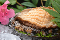 【日帰り】丹後産・天然黒アワビだけでお腹いっぱいになって頂きます！天然黒アワビフルコース