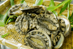 丹後産天然黒鮑