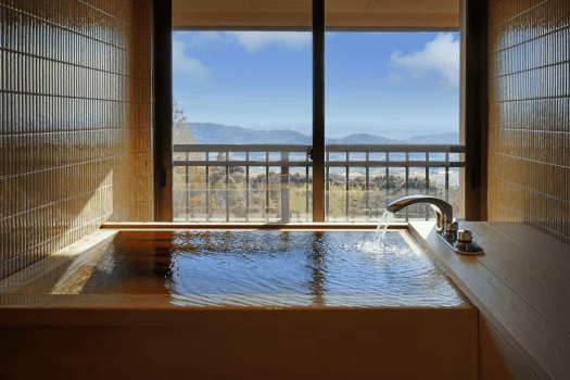 【501 琥珀】展望檜風呂付和洋室