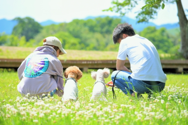 愛犬と泊まろう♪