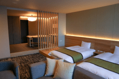 サウナ・温泉付ジュニアスイート