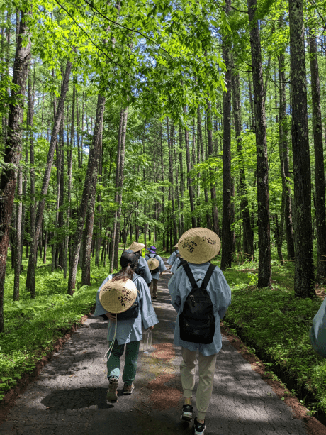【街道浪漫めぐり6月6日】年に一度の木曽漆器祭に歩く鳥居峠ウォーキング【中山道木曽路歩き１泊３食】