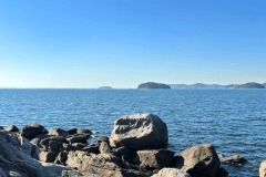 【ジオガイドツアー】西浦の自然満喫～採石～