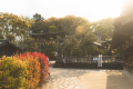 [Multiple nights] [Solo travel] Enjoy in-room dining ☆ Luxurious ☆ Solo stay ＜Shun Kaiseki ~Matsu~＞