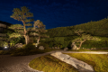 [Garden/main garden] Beautifully reborn Japanese garden