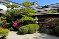 １階客室から望める日本庭園。古き良き時代の香が漂う。