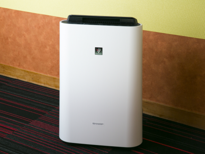 フォレストリゾート 湯もと小町館 プランの詳細 【湯もと小町館の素泊プラン】大正ロマンの風情を楽しむ源泉掛け流しの小さな湯宿 フォレストリゾート 湯もと小町館 プランの詳細 【湯もと小町館の素泊プラン】大正ロマンの風情を楽しむ源泉掛け流しの小さな湯宿