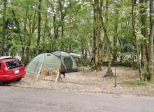 ペットノーリードサイト（林間ゾーン）