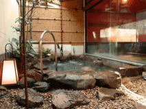 Basic Japanese room without toilet and bath. Dinner and brealfast are not included.