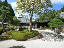 Room with toilet room