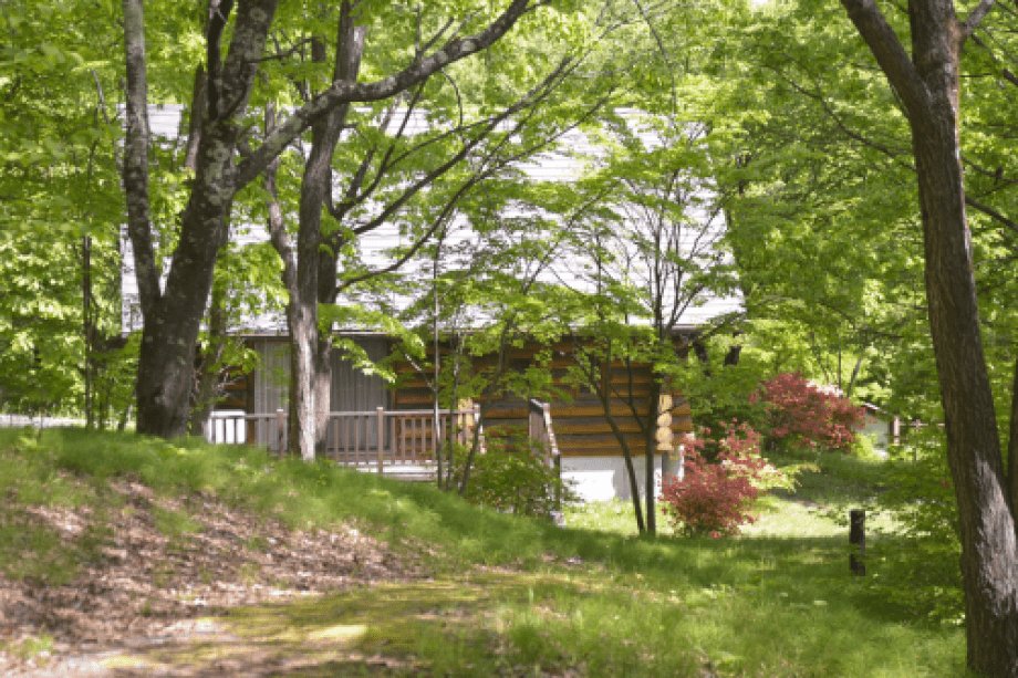 敷地内はまるで森の中！お散歩するのも楽しいです♪