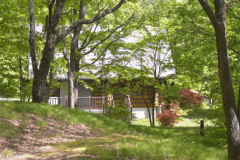 敷地内はまるで森の中！お散歩するのも楽しいです♪