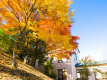 敷地内の紅葉　お散歩も楽しいですよ♪