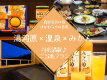 温泉×みかん尽くし♪特典満載のご当地プラン