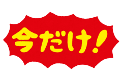 ★期間限定【快適Wi-Fi】ツインorダブルルームのシングルユースがお得！《素泊り》