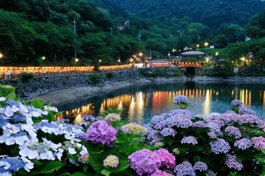 毎年6月に開催される「形原あじさい祭り」