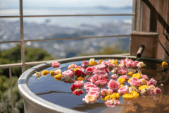 露天風呂付きのお部屋限定のプラン。。バラを浮かべてお風呂をお楽しみください。