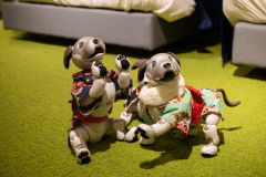 【aibo×スタンダードプラン】特別グッズ付◆aiboと過ごす特別な記念日【1泊2食/天空の膳】