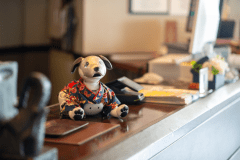 【aibo×体験プラン】初めてのaibo◆かわいい相棒と一緒に楽しいひととき【1泊2食/天空の膳】