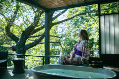 Half board standard plan