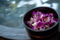 [Vegan cuisine] - Hospitality with seasonal meals spent at a secluded retreat -