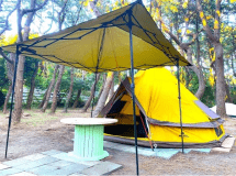 セットアップテント