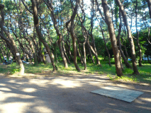 タイルの上で火気の使用が出来ます。