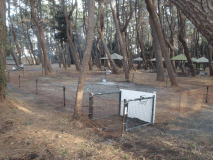 定員1～5名様（ワンちゃん2頭まで）