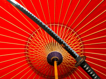 ファミリーで楽しむならここ！北海道で忍者に会える！？