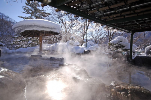 【★お正月・冬休み】年末年始は猿ヶ京ホテルで！≪極品・絶品・★豆富懐石と源泉かけ流しの温泉の宿≫