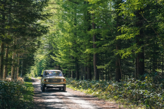 Rental Car　|　LAND CRUISER BAMBA