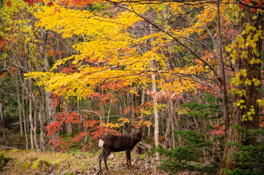 ◆20% OFF◆【秋季最後時刻折扣方案】Grand Suite