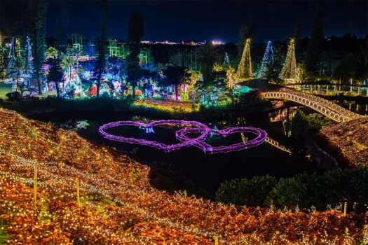 【全国2位＆沖縄三大夜景を楽しむ】沖縄南国イルミネーションチケット付きプラン／朝食付き