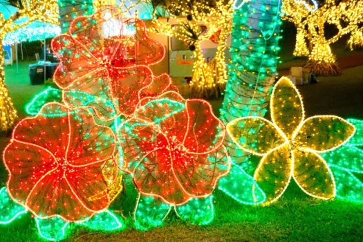 【全国2位＆沖縄三大夜景を楽しむ】沖縄南国イルミネーションチケット付きプラン／朝食付き