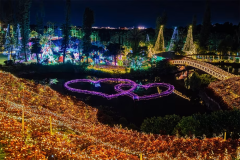 【全国2位＆沖縄三大夜景を楽しむ】沖縄南国イルミネーションチケット付きプラン／朝食付き