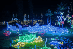 【東南植物楽園】沖縄南国イルミネーション 【東南植物楽園】沖縄南国イルミネーション