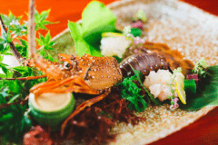 【伊勢えび付き地魚プラン】天草といえば伊勢えびです！